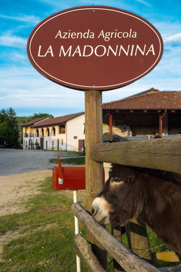 La Madonnina Agriturismo Dorè Alba  Exterior foto